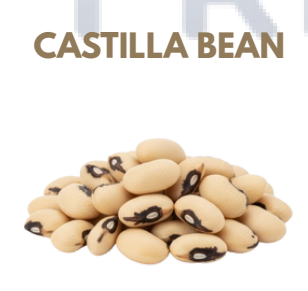 Legumes - Castilla Bean