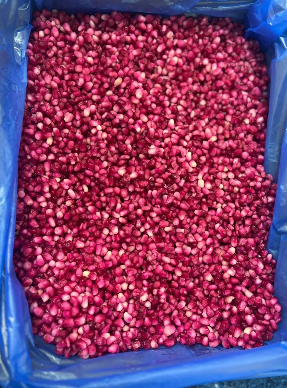 IQF Pomegranate Arils