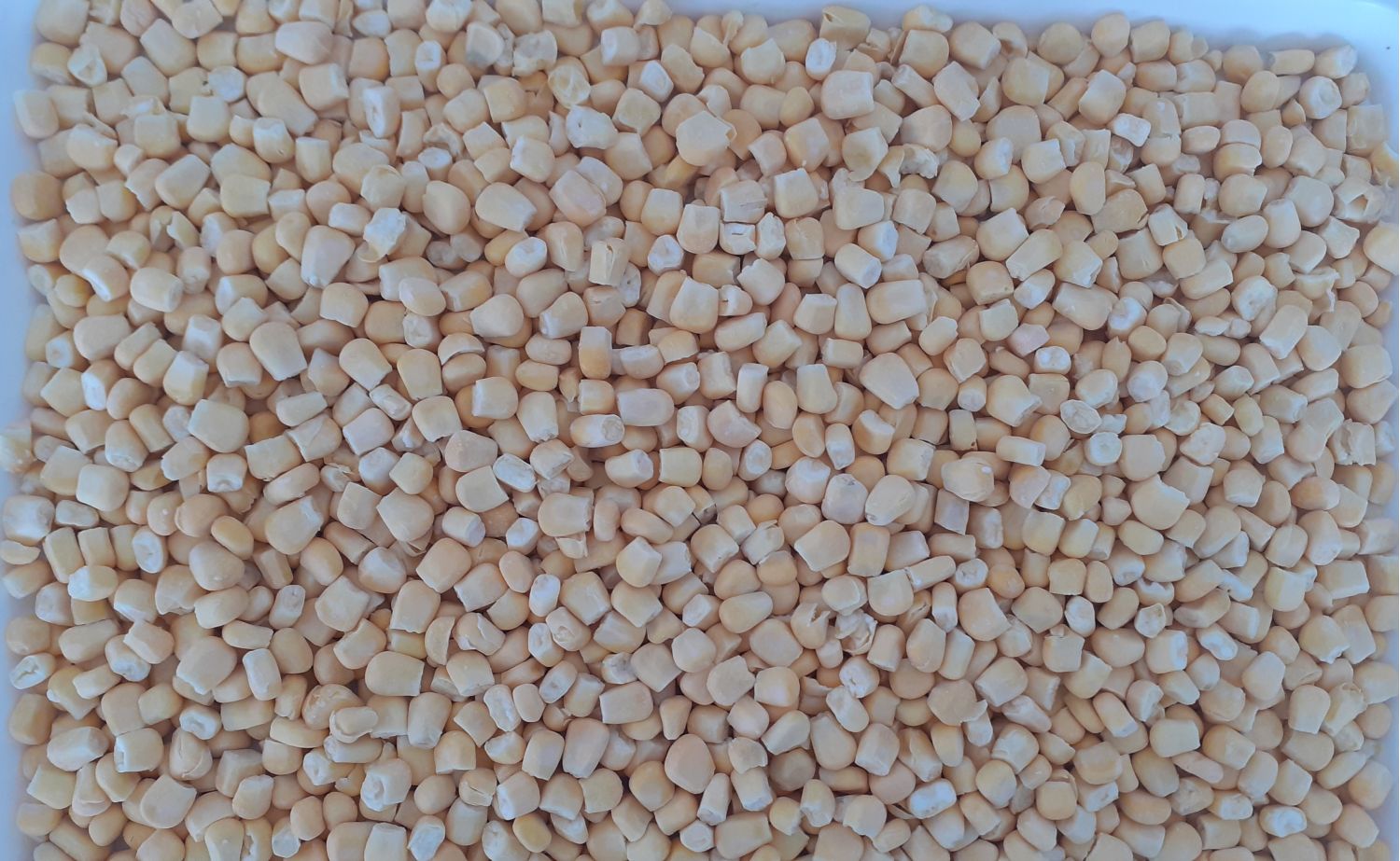 Sweet corn Iqf Grade B 10kg carton