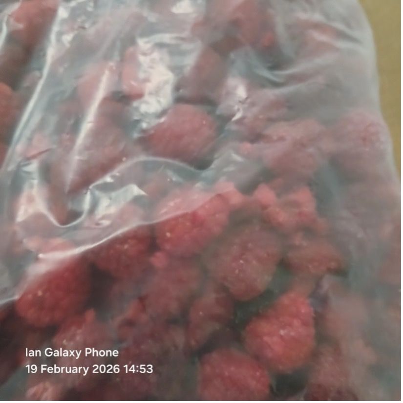 Raspberry IQF 80/20