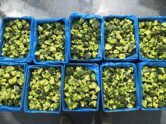 Broccoli IQF Florets 30-50 Origin Egypt 10kg carton