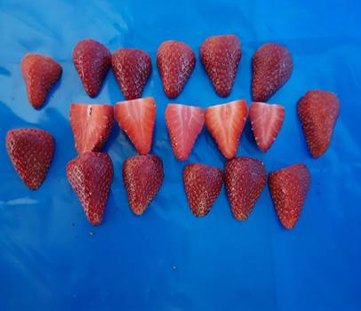 Strawberry IQF slices Origin Egypt 10kg carton