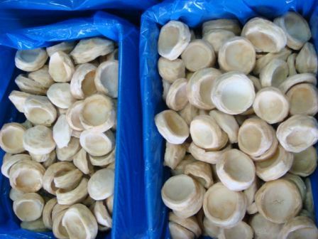 Artichoke IQF bottoms Origin Egypt 10kg carton