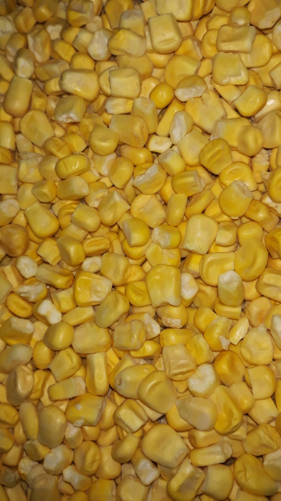 Sweet corn IQF Grade C 10kg carton