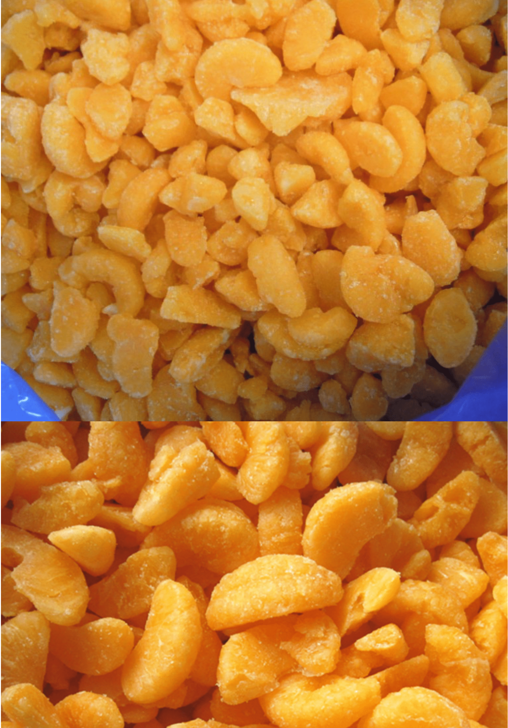 Frozen Orange / Tangerine Segment