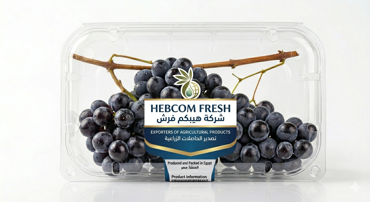 Table Grapes Black Pearl Extra Class 500g 85mm Plastic crate (disposable) 10kg