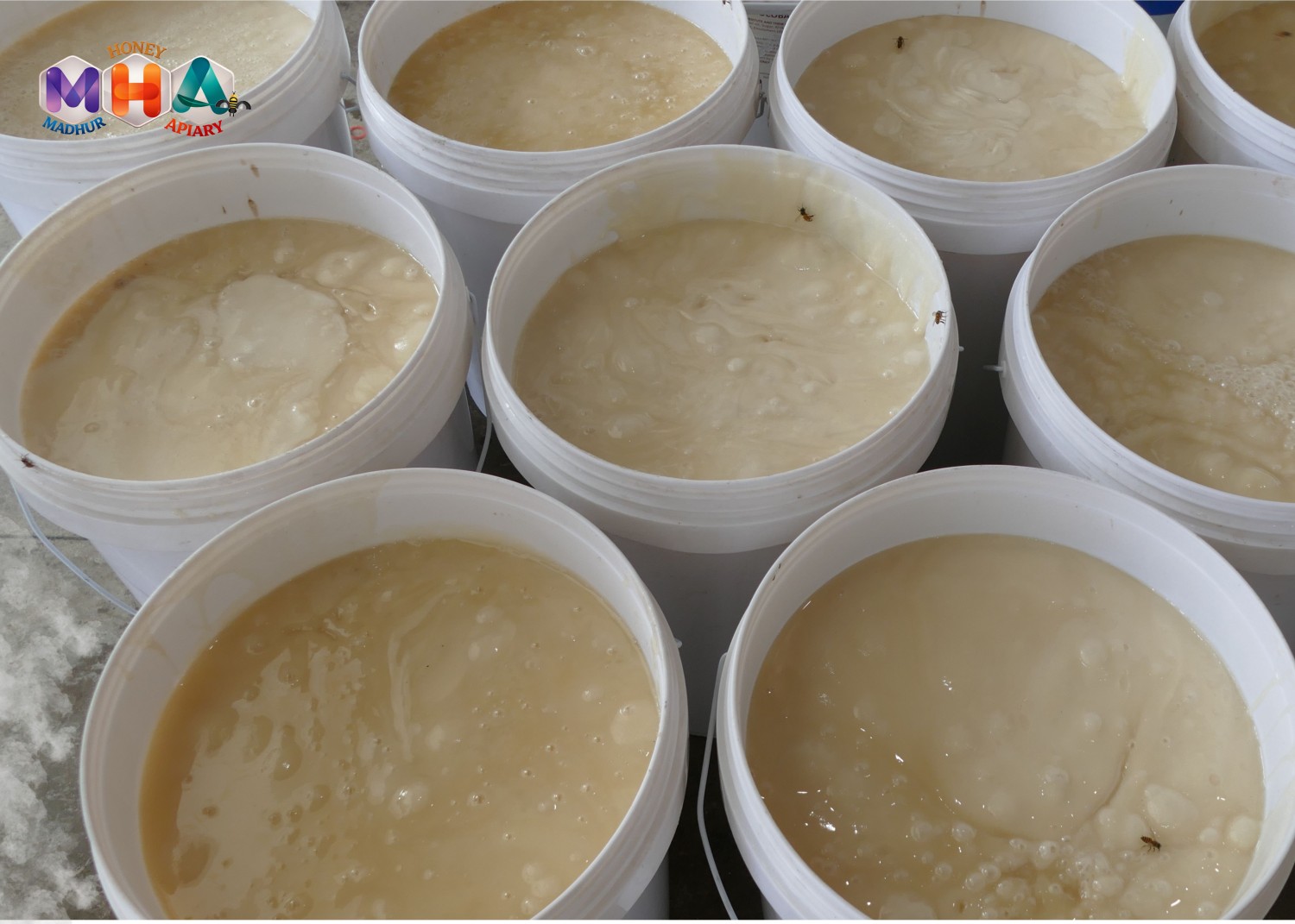 RAW HONEY NATURAL HONEY PROCESSED HONEY BULK HONEY