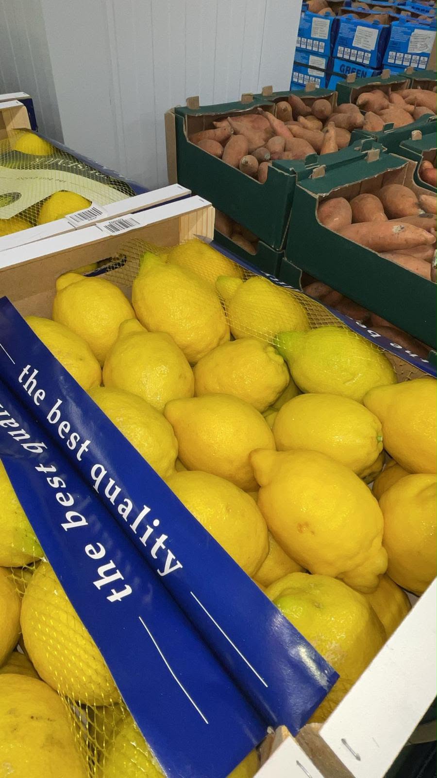 Lemon - Verna - 10kg boxes