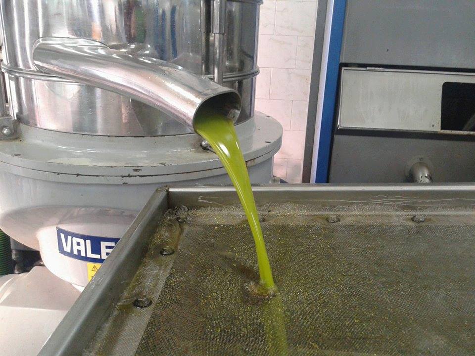 Extra Virgin Olive Oil 5 liters