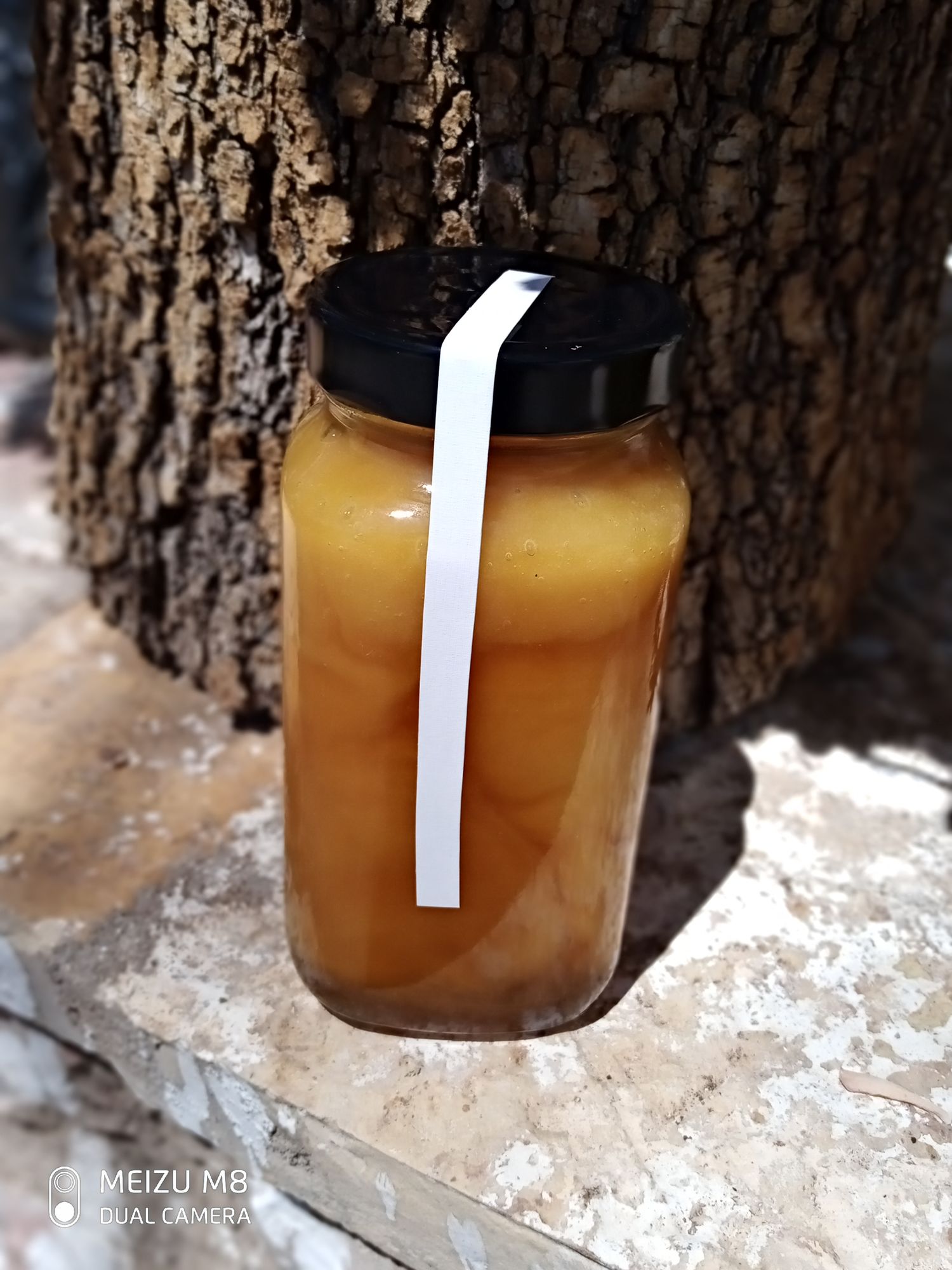 Oak-Fir-Quercus Coccifera Honey (3 jars)