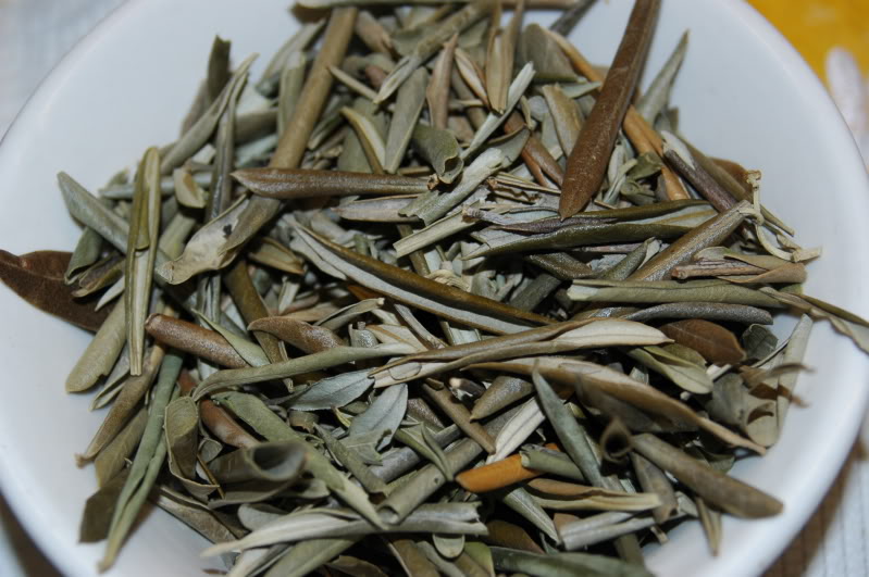 Olive Leaves - Tea