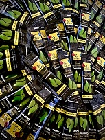 Individual Portions of Gourmet Olive Oil 10ml