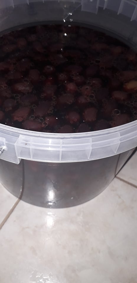 Kalamon Olives of Aetolia-Acarnania in vinegar - 5 kg package