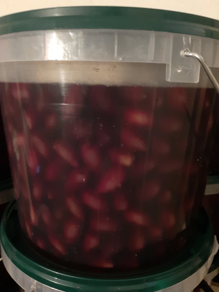 Kalamon Olives of Aetolia-Acarnania in brine, 5 kg package