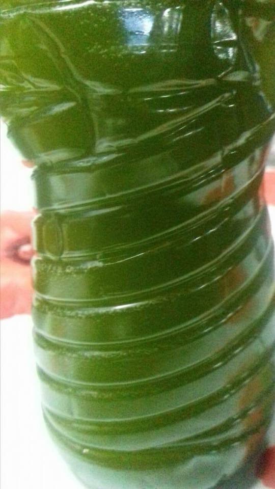 Extra Virgin Olive Oil - Tin Canister 5lt