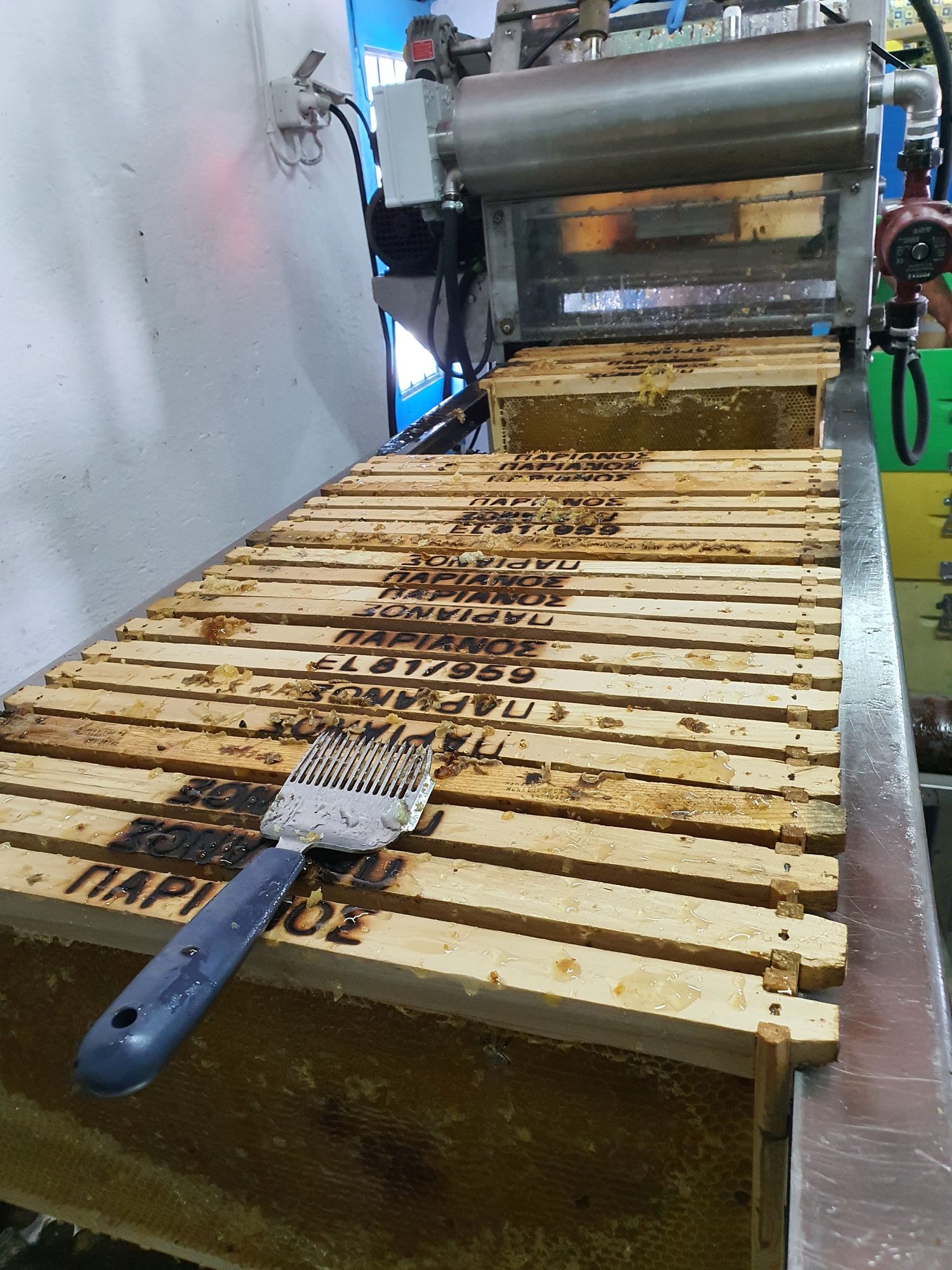 Thyme Honey 1kg