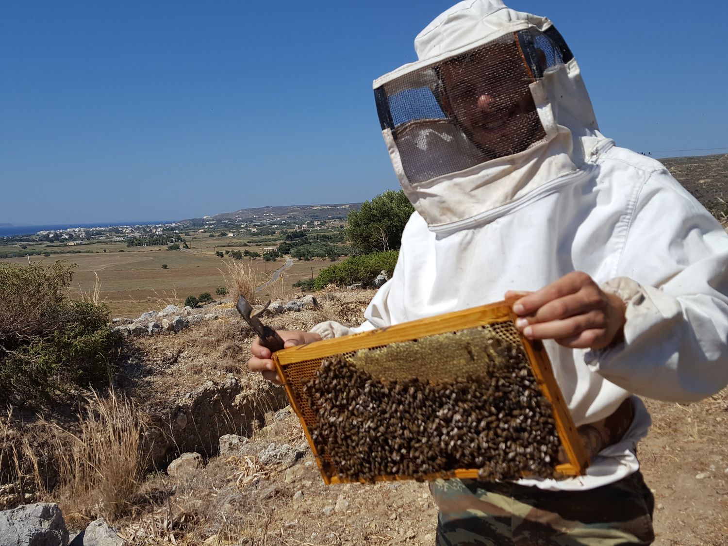 Thyme Honey 1kg