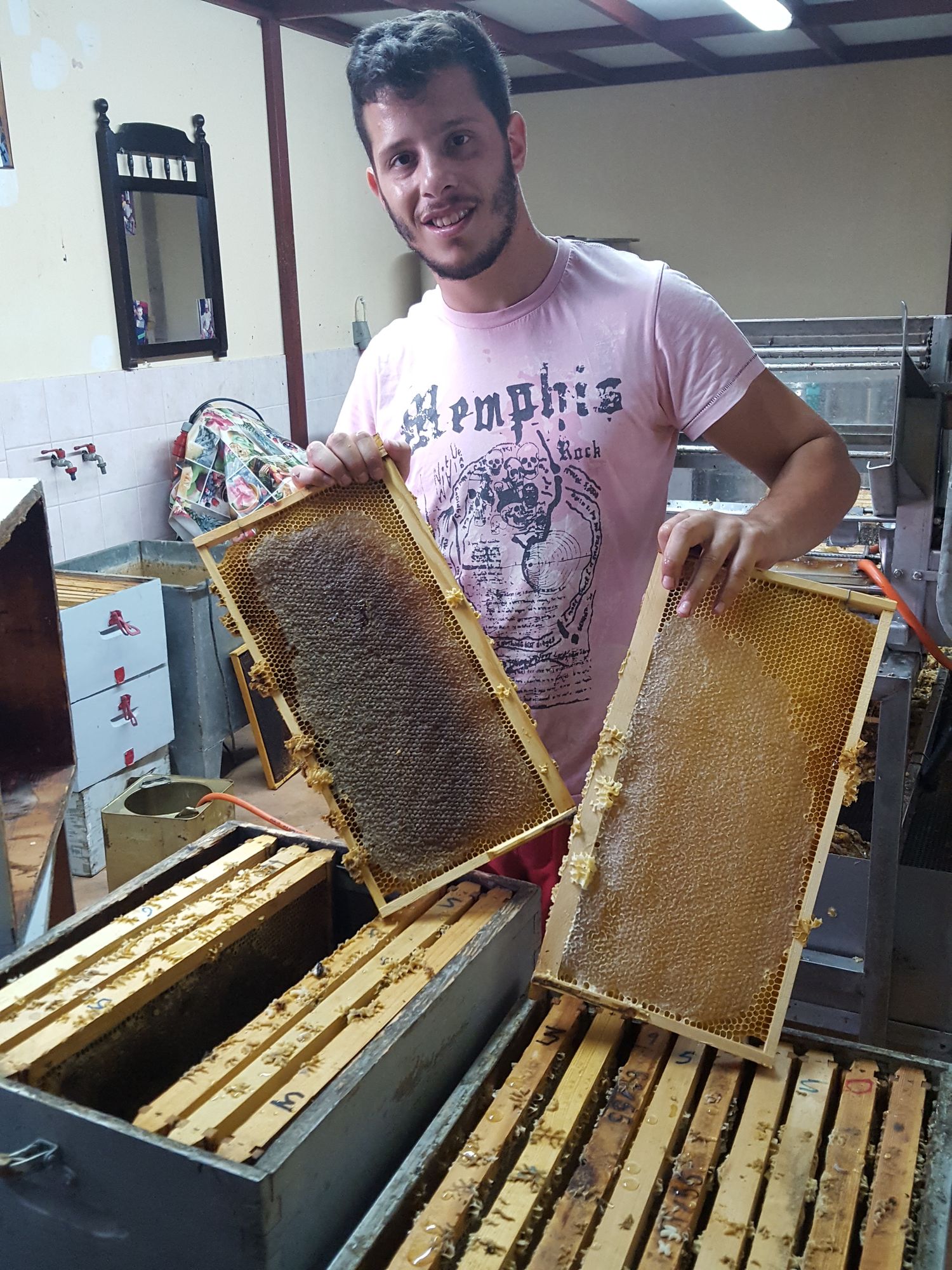Thyme Honey 1kg