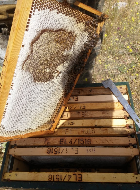 Organic honey herbs - 500g