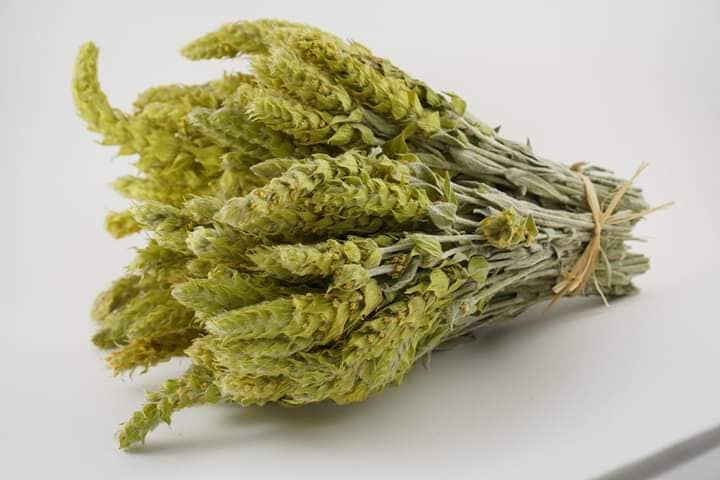 0.300kg-5pcs-Greek Olympus mountain tea-300g-sideritis scardica