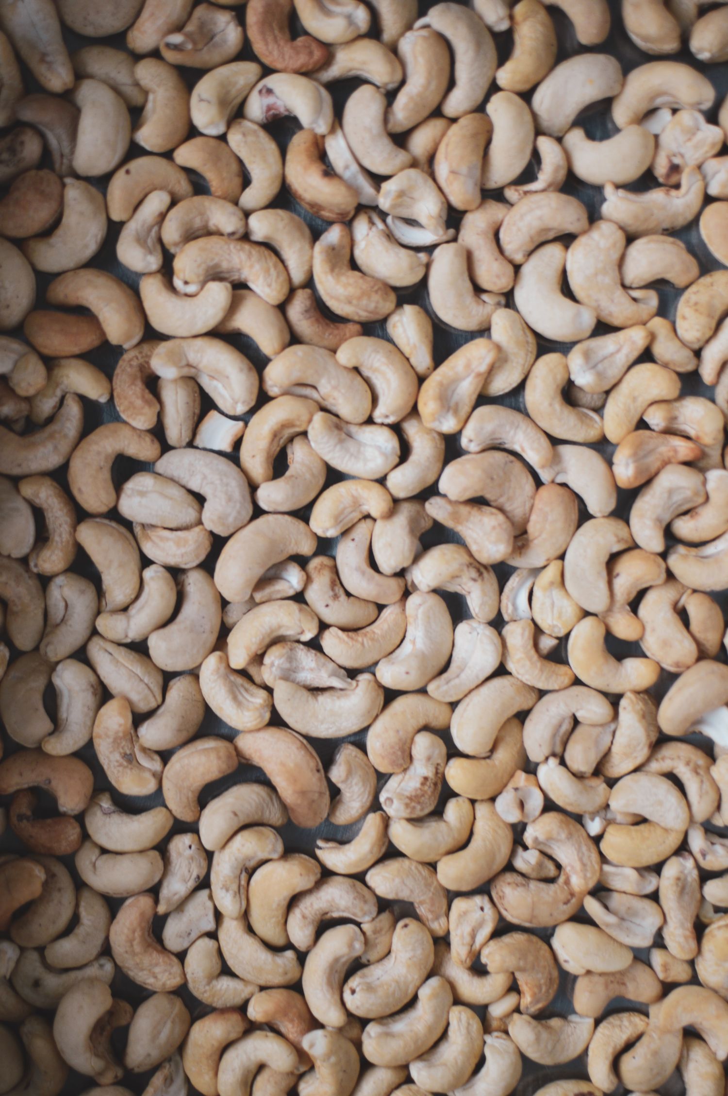 1kg cashew Nut seed - Fried with salt. Export quality
