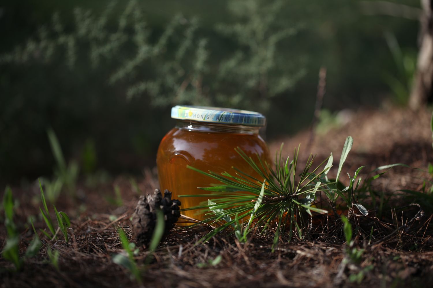 Chestnut Honey 1kg