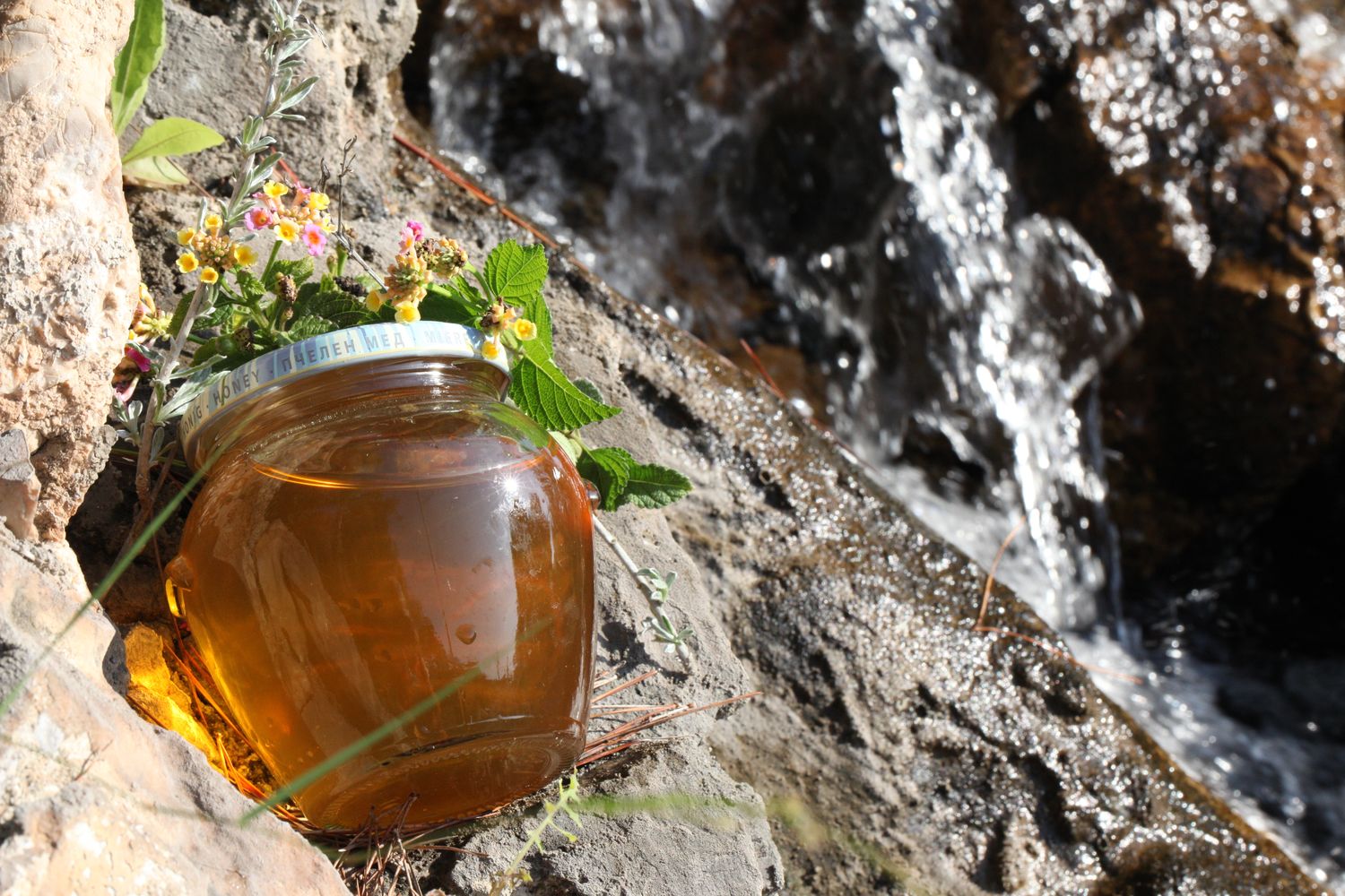 Thyme Honey 1kg