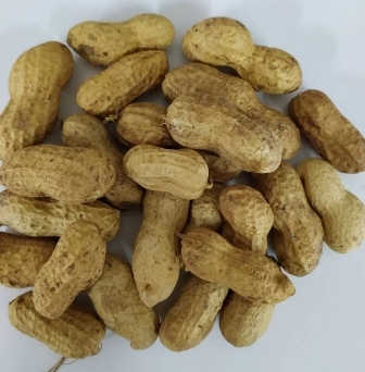 5 kgr package, Peanuts in shell roasted without salt, Greek - Packaging