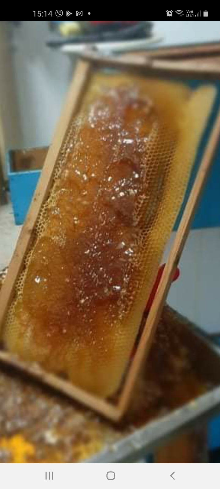East Crete Thyme Honey 1 kg