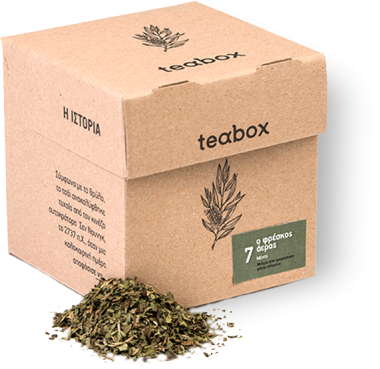 FRESH AIR # 7 MINT TEA (8 individual teas in cans)
