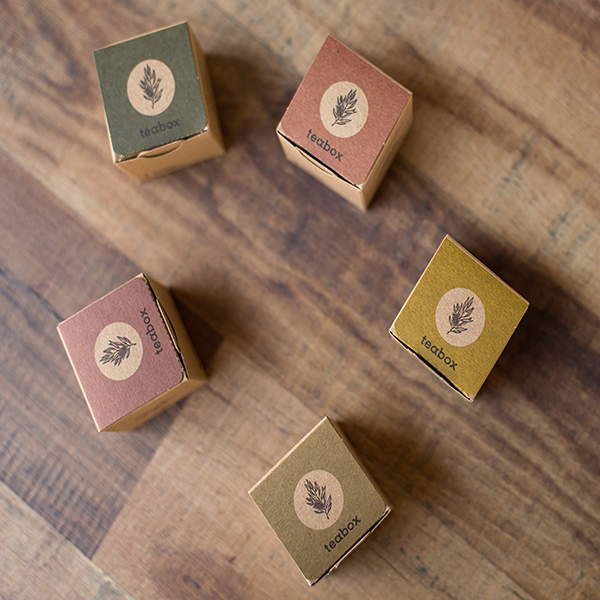 FRESH AIR # 7 MINT TEA (8 individual teas in cans)