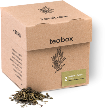 GREEN SQUARE # 2 GREEN TEA (8 individual teas in cans)