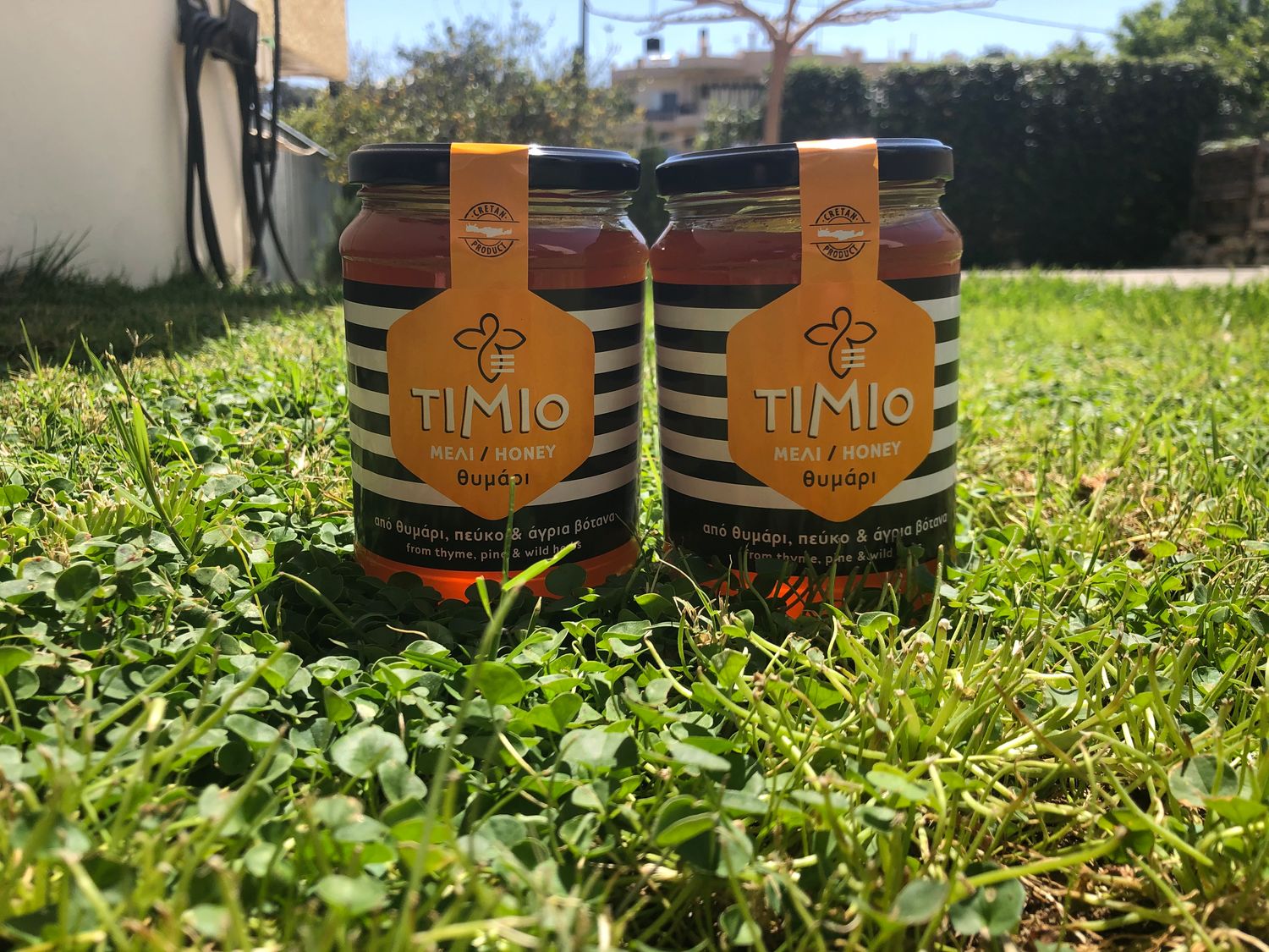 Thyme Honey 500gr