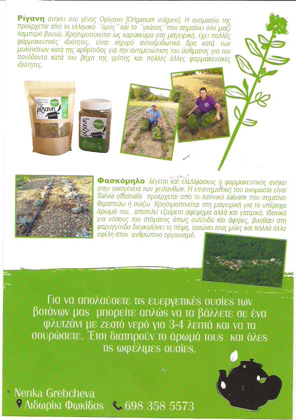 MOUNTAIN TEA 100gr