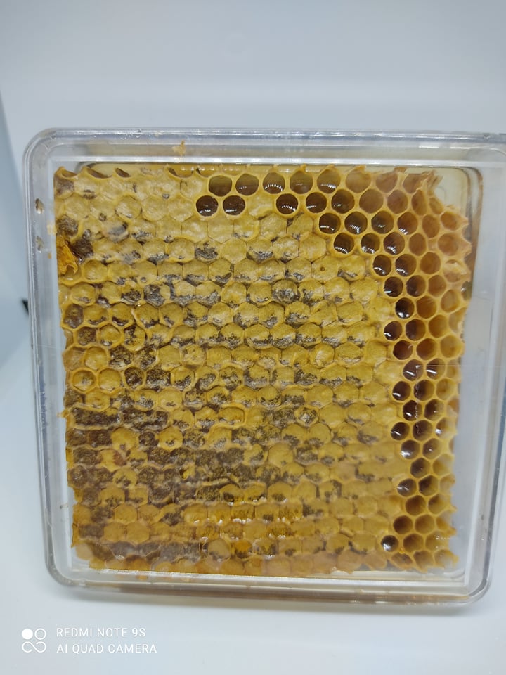Honeycomb honey