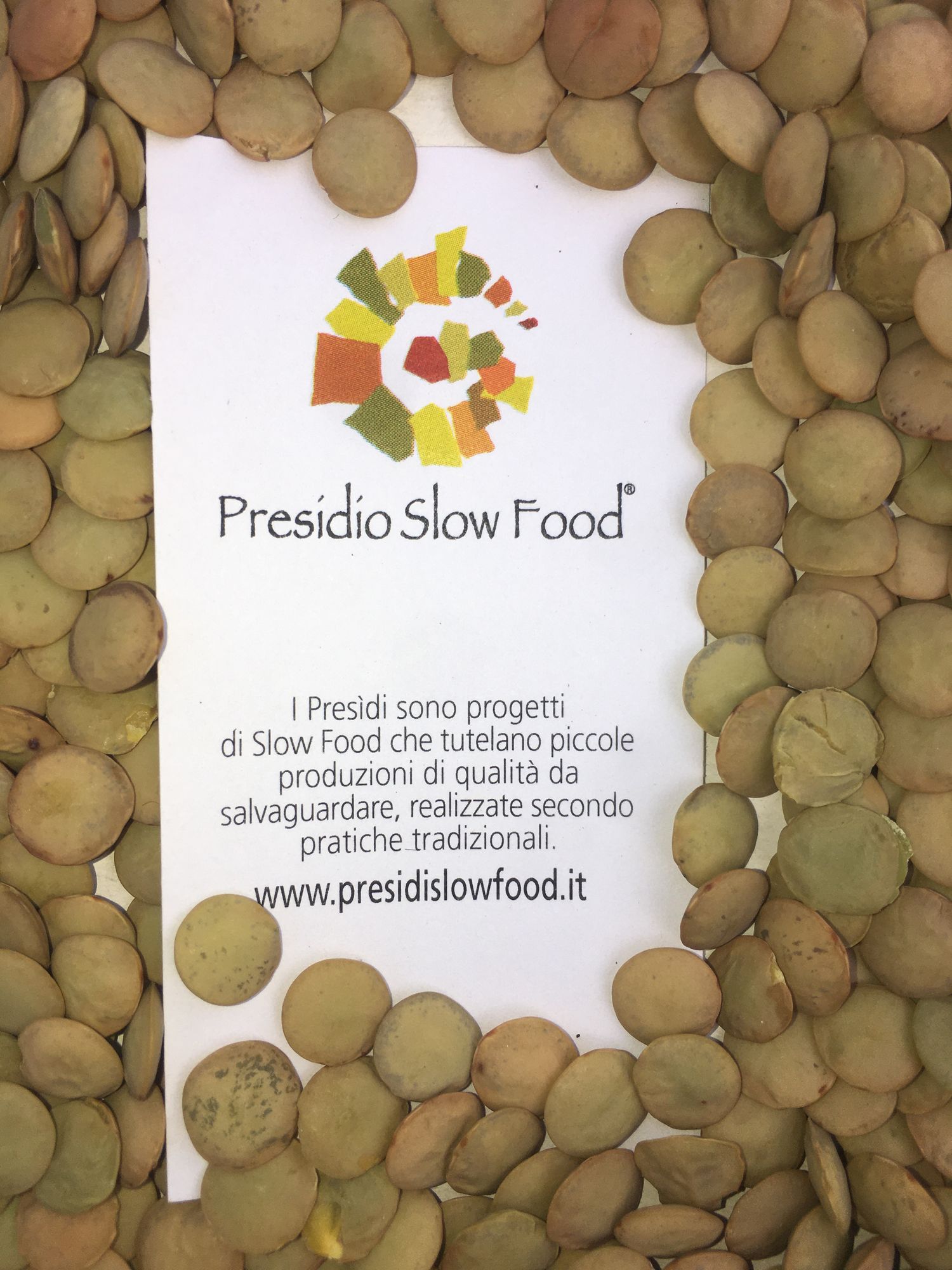 VILLALBA LENTIL (Slow Food Presidium) 1kg