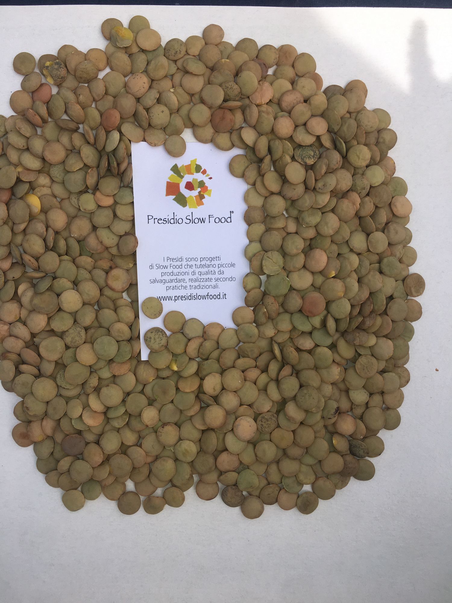 VILLALBA LENTIL (Slow Food Presidium) 1kg