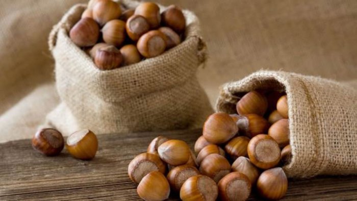 Giffoni round hazelnut - in shell