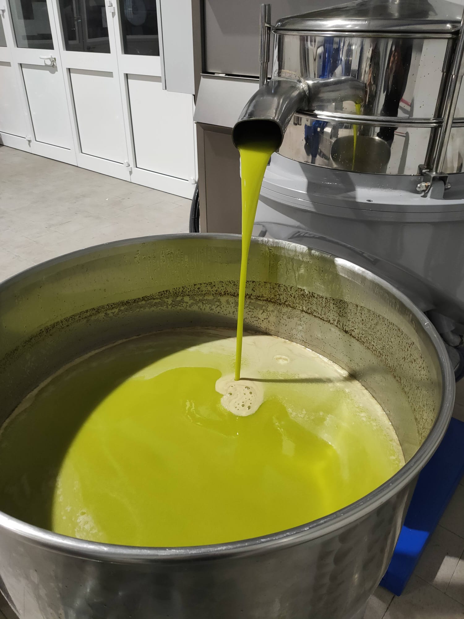 Extra virgin olive oil from organic farming - 5 litres in tins or bag in box