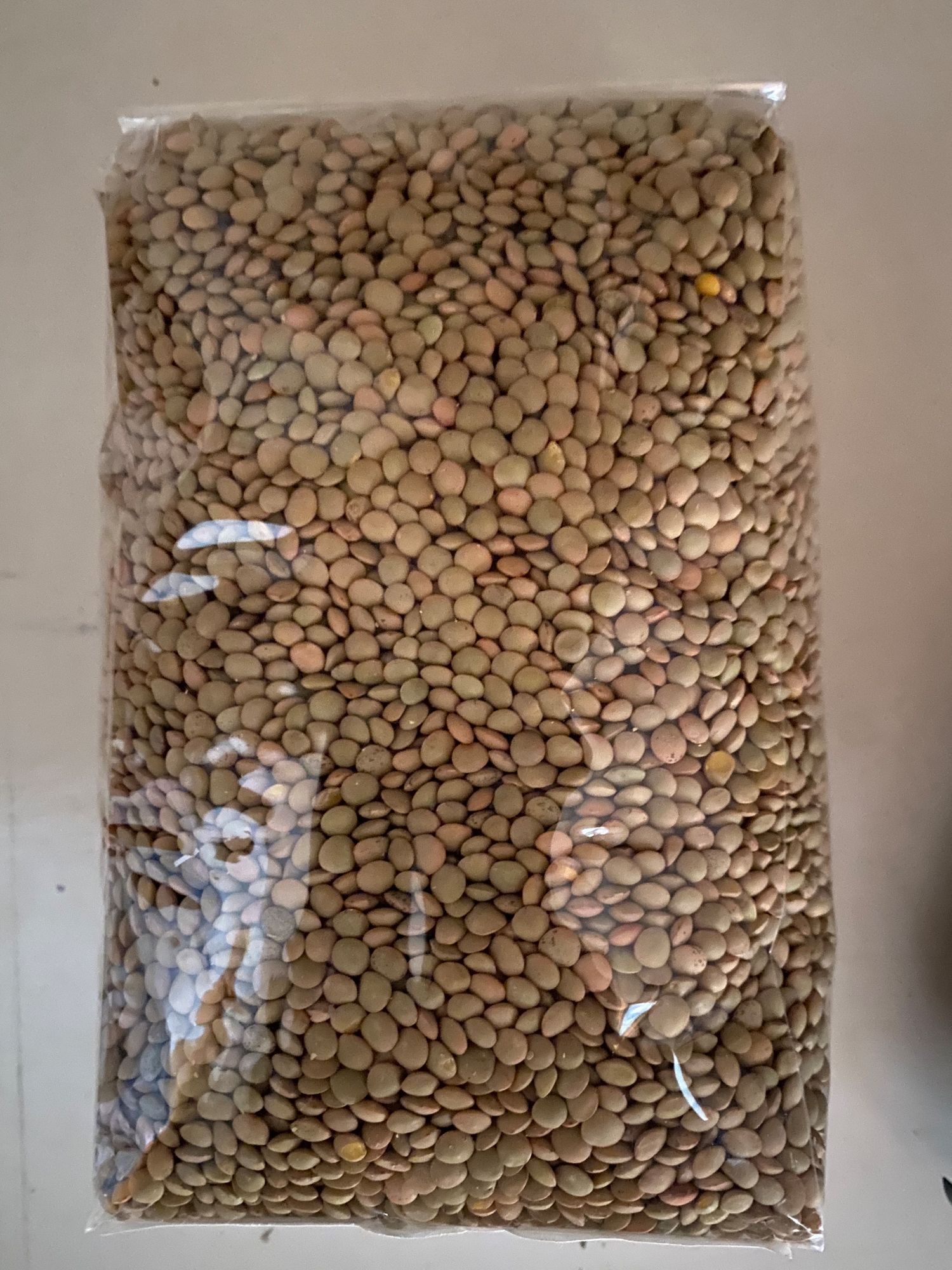 Lentil 1 kg green Small - origin Sicily