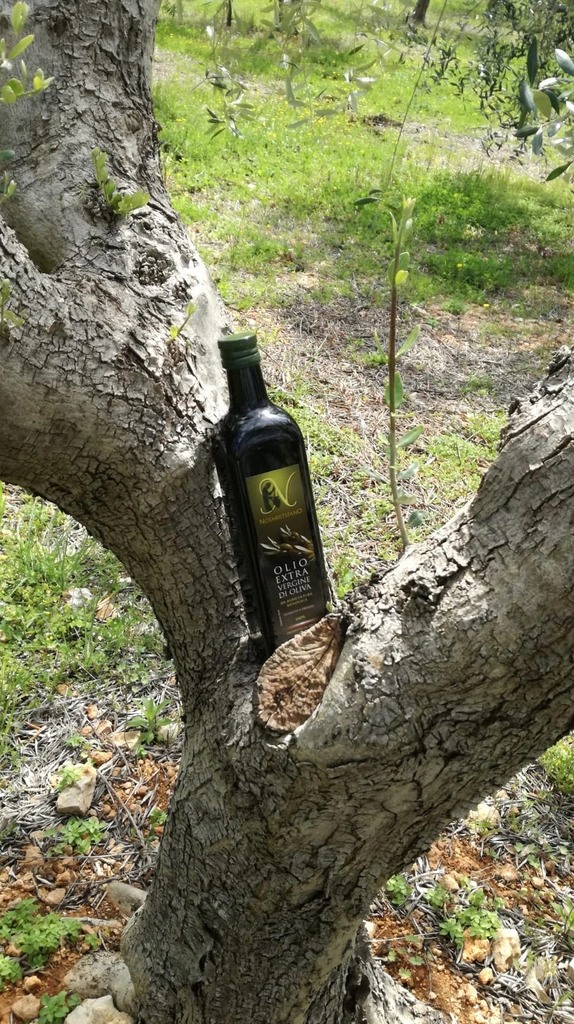 Extra Virgin Olive Oil - Organic - 1L Glass Bottle