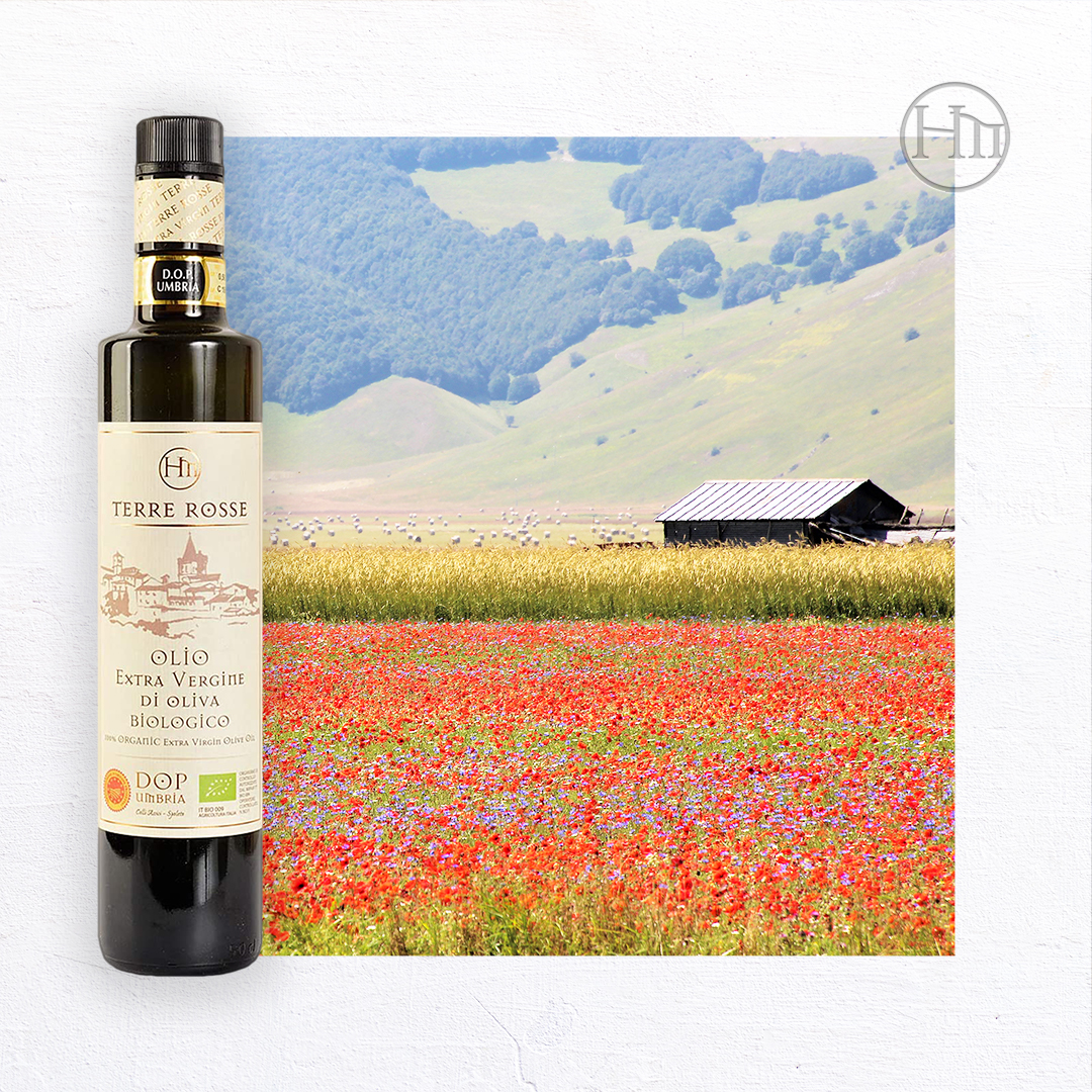 TERRE ROSSE - Organic Extra Virgin Olive Oil 500ml - Limited Edition 2021 Oil Campaign