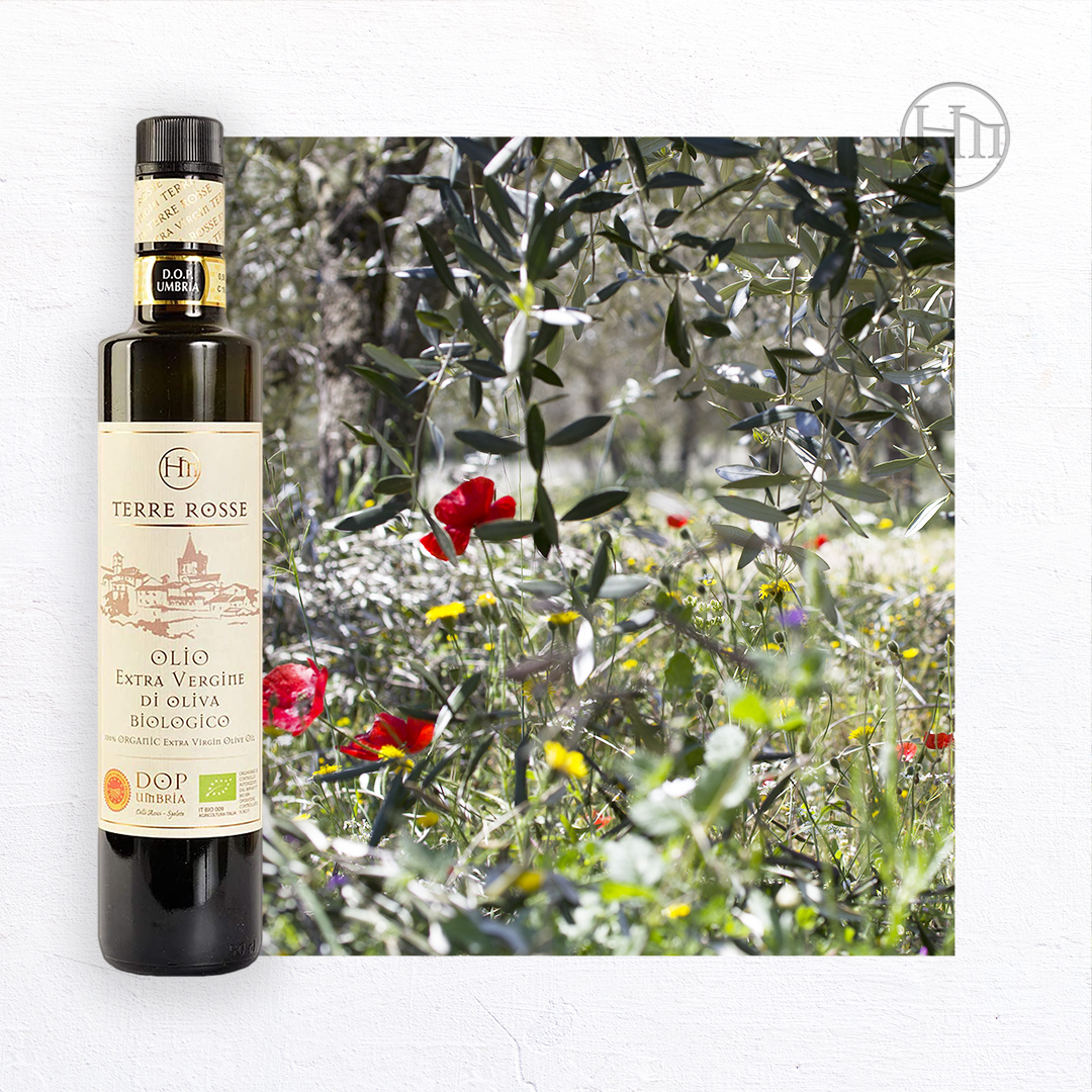 TERRE ROSSE - Organic Extra Virgin Olive Oil 500ml - Limited Edition 2021 Oil Campaign