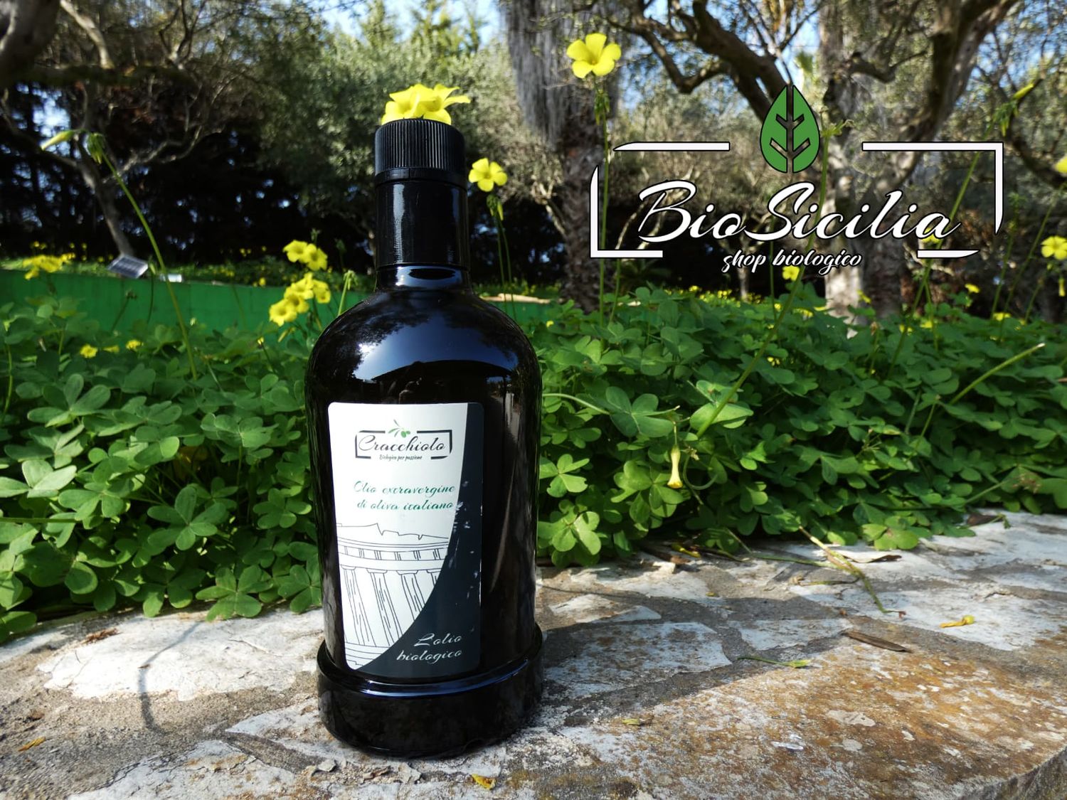 Certified Organic Extra Virgin Olive Oil c.o.2021/2022 (500ml)