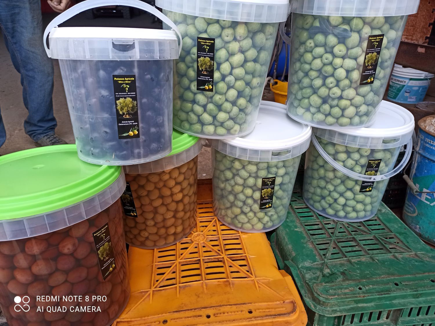 Nocellara del Belice olives - 10kg package