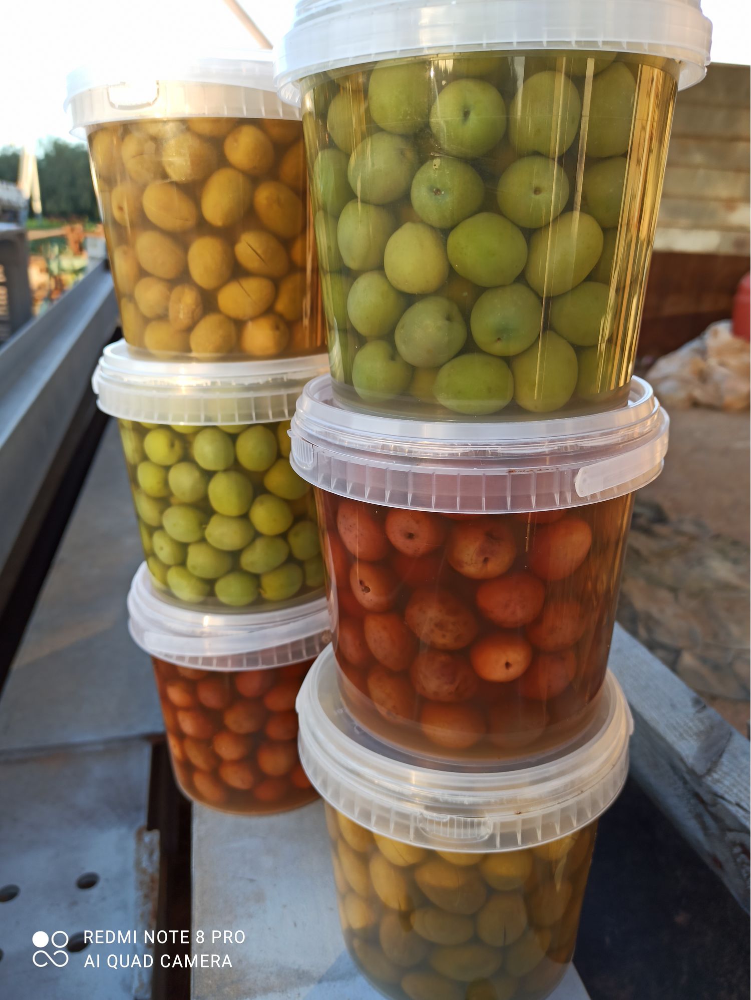 Nocellara del Belice olives - 5kg package - gross weight