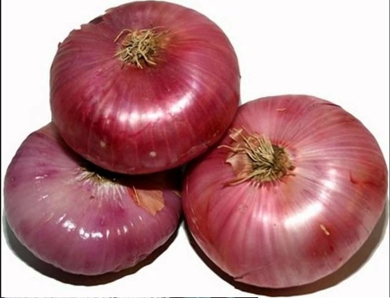 Red Onions - 10-30 kg bag price per kg