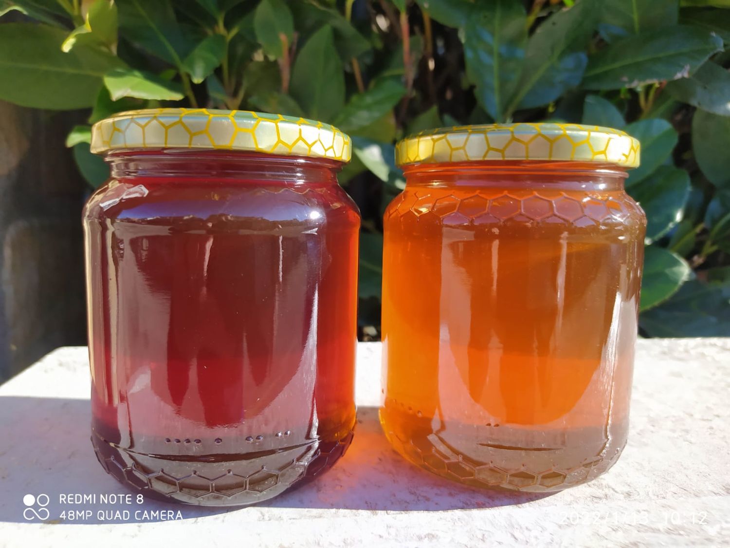 Millefiori honey - 1kg