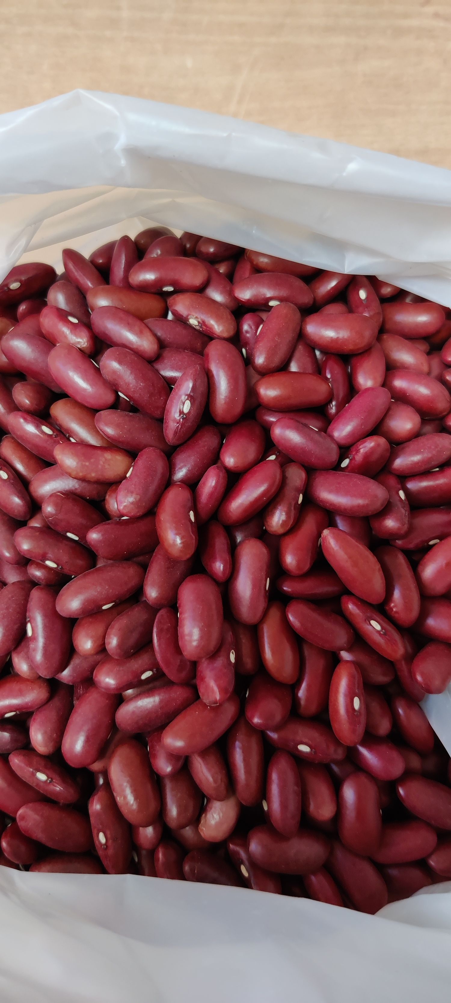 Red Beans 1 24' Container