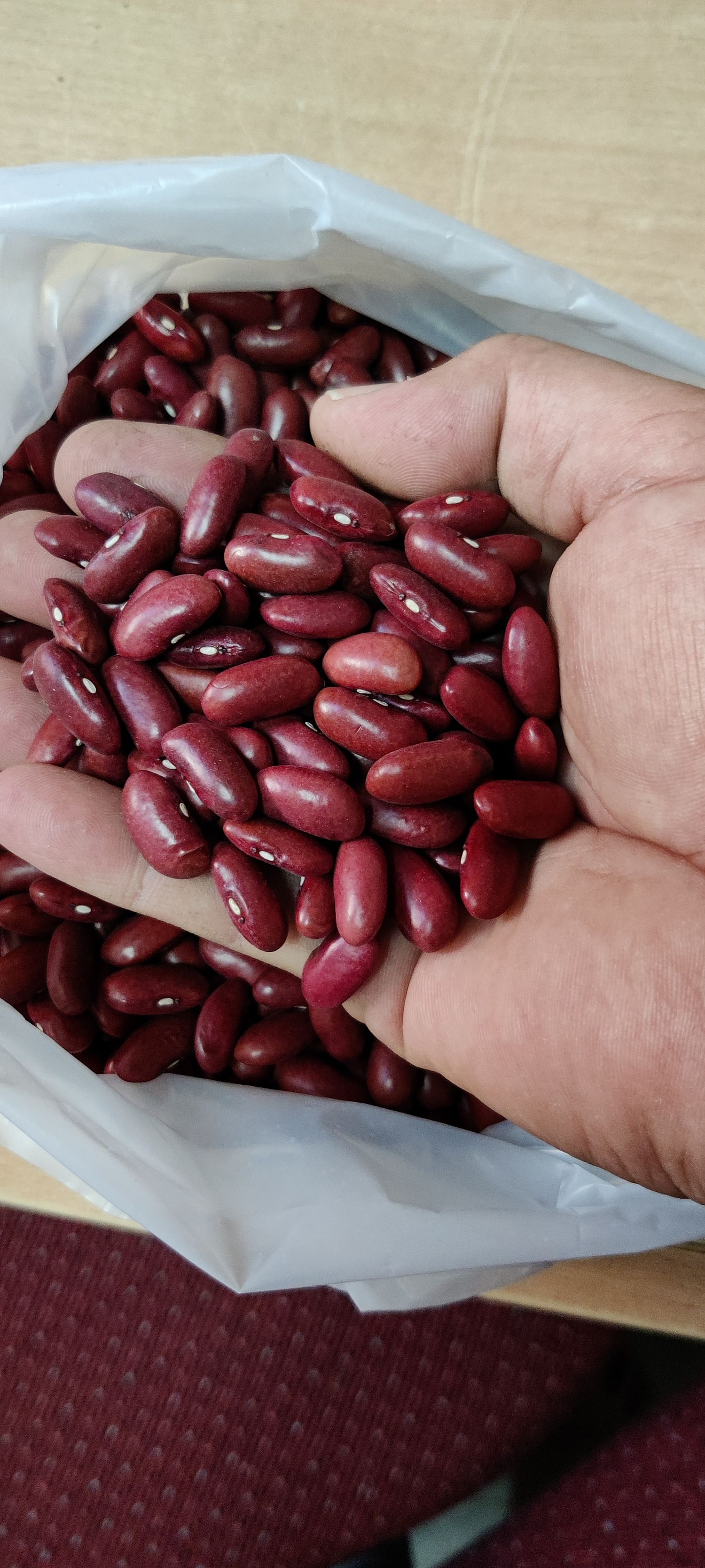 Red Beans 1 24' Container